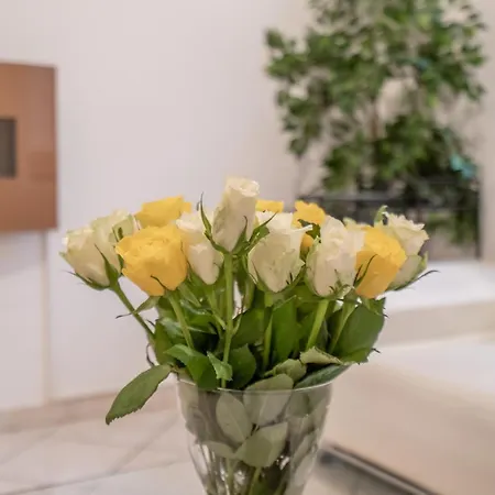 Bejuna By Vivere Stays Hotel Düsseldorf